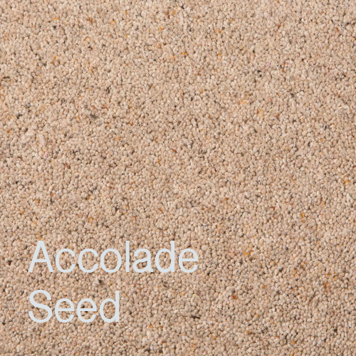 Accolade Seed Accolade Seed